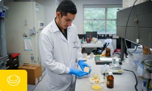 Formulación cosmética de productos sólidos y sin residuos