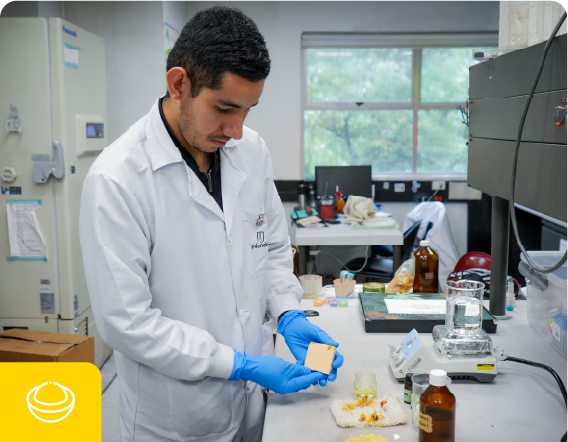 Productos cosméticos sólidos sostenibles 